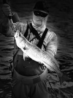 Speckled Trout / Spotted Seatrout fishing in Port O&#039;connor, Texas