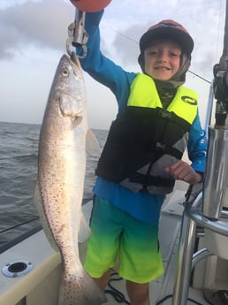 Speckled Trout / Spotted Seatrout fishing in Galveston, Texas