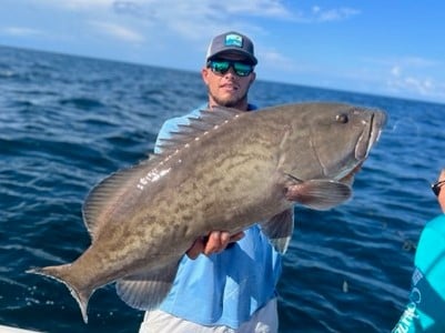 Gag Grouper fishing in Pensacola, Florida