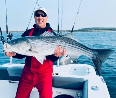 Striped Bass Fishing in Bourne, Massachusetts