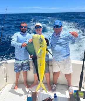 Mahi Mahi / Dorado fishing in Rockport, Texas