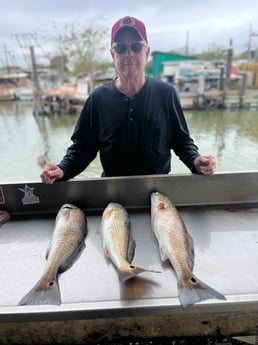 Redfish Fishing in Galveston, Texas