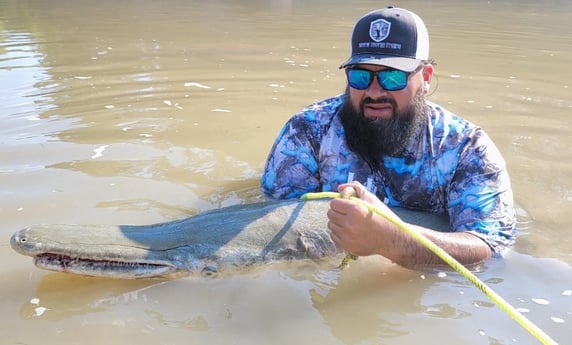 Alligator Gar fishing in Dallas, Texas