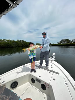 Snook Fishing in Sarasota, Florida