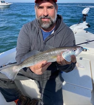 Speckled Trout / Spotted Seatrout Fishing in Beaufort, North Carolina