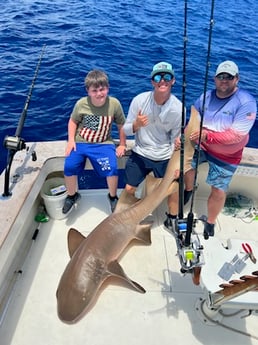 Fishing in Fort Lauderdale, Florida