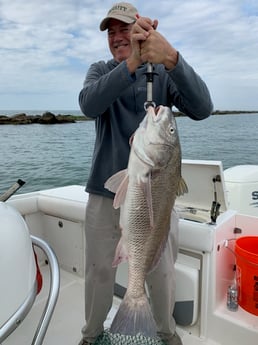 Speckled Trout / Spotted Seatrout fishing in Galveston, Texas