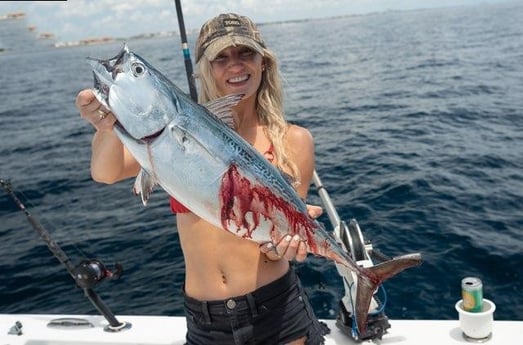 False Albacore Fishing in Boynton Beach, Florida