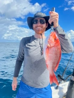 Red Snapper fishing in Panama City, Florida