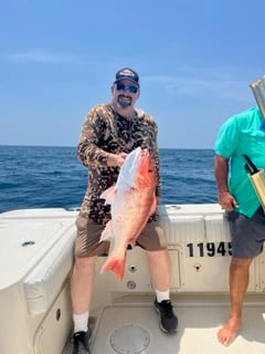 Red Snapper Fishing in Port Isabel, Texas