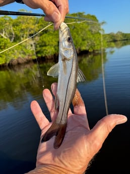 Fishing in Jupiter, Florida