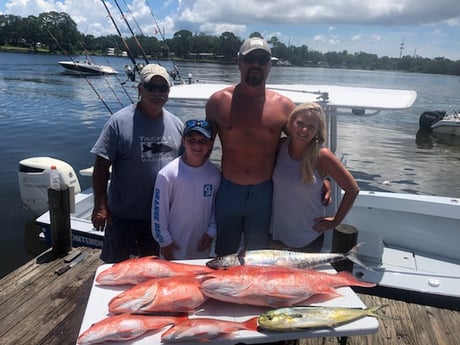 Little Tunny / False Albacore, Mahi Mahi / Dorado, Red Snapper fishing in Pensacola, Florida