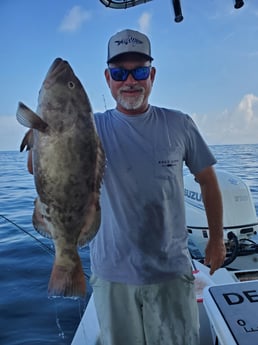 Gag Grouper fishing in St. Petersburg, Florida