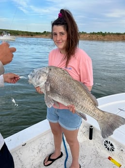 Black Drum Fishing in Galveston, Texas