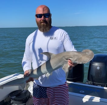 Bonnethead Shark Fishing in Mount Pleasant, South Carolina