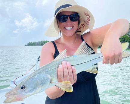 Snook fishing in Tavernier, Florida