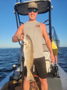 Redfish Fishing in South Padre Island, Texas