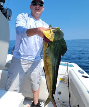 Amberjack fishing in Panama City, Florida