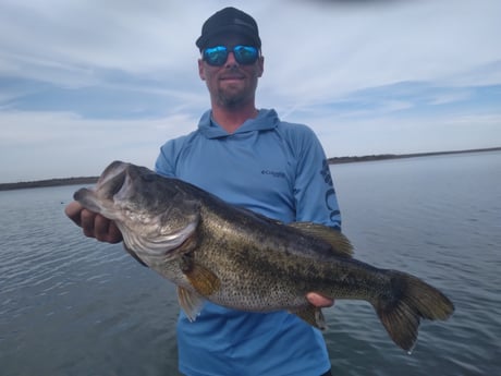 Largemouth Bass fishing in Austin , Texas