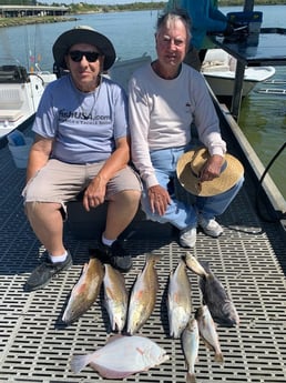 Black Drum, Flounder, Redfish, Speckled Trout / Spotted Seatrout fishing in Galveston, Texas