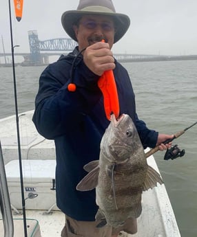 Black Drum fishing in Galveston, Texas