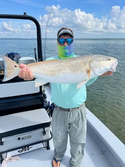 Speckled Trout / Spotted Seatrout fishing in Galveston, Texas