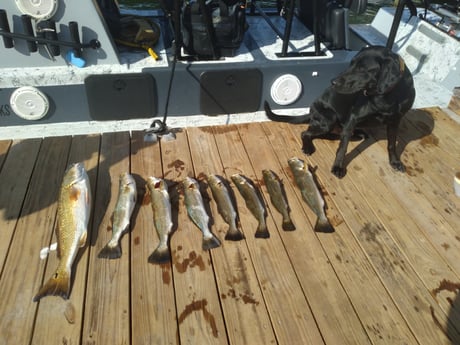 Redfish, Speckled Trout Fishing in South Padre Island, Texas