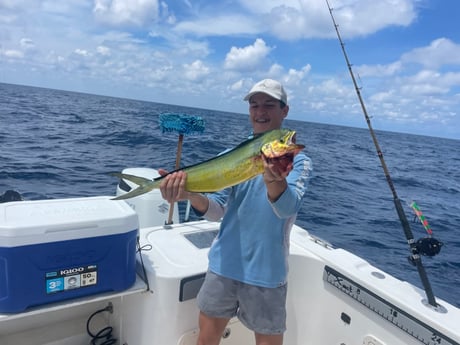 Mahi Mahi Fishing in Freeport, Texas