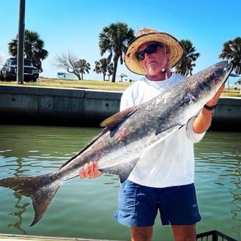 Cobia fishing in Port Aransas, Texas