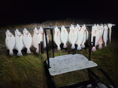 Flounder Fishing in Rio Hondo, Texas