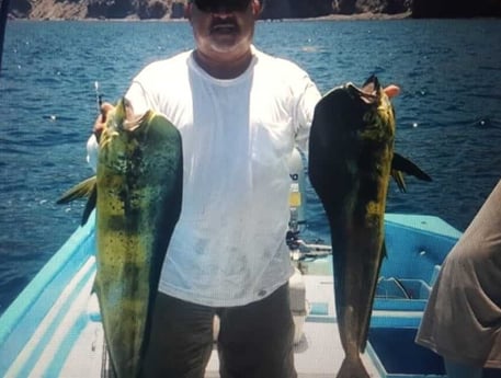 Mahi Mahi / Dorado fishing in Loreto Baja California Sur, Mexico