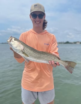 Speckled Trout / Spotted Seatrout fishing in Sarasota, Florida