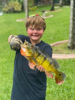 Fishing in Davie, Florida