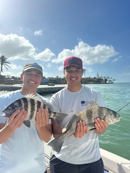 Fishing in Sarasota, Florida