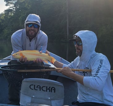 Golden Trout fishing in Broken Bow, Oklahoma