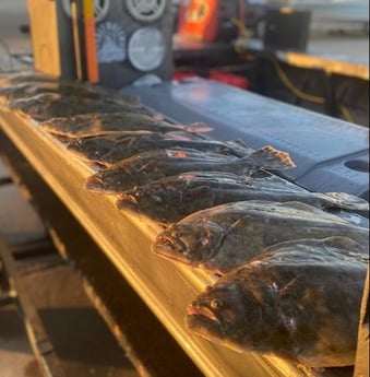 Flounder fishing in Galveston, Texas