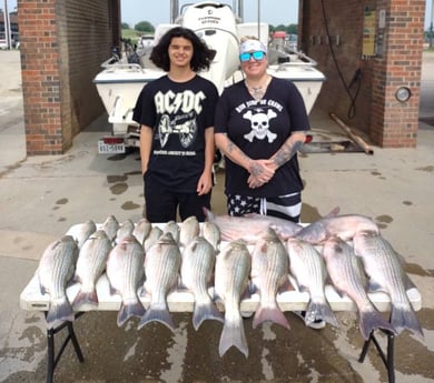 Blue Catfish, Hybrid Striped Bass Fishing in Runaway Bay, Texas