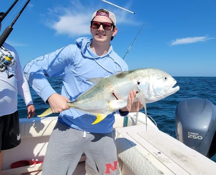 Jack Crevalle fishing in Clearwater, Florida