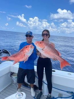 Red Snapper fishing in Sarasota, Florida