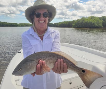 Redfish Fishing in Clearwater, Florida