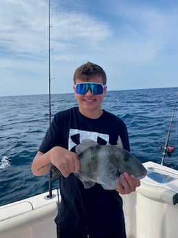 Triggerfish Fishing in Pensacola, Florida