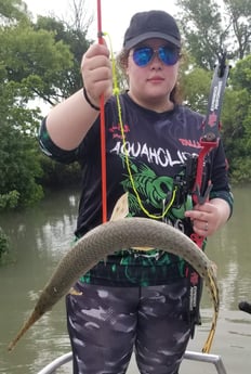 Alligator Gar fishing in Livingston, Texas