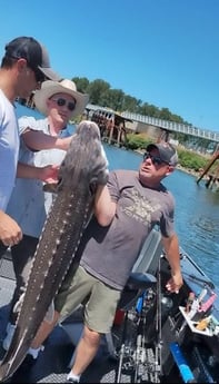 Fishing in Woodland, Washington