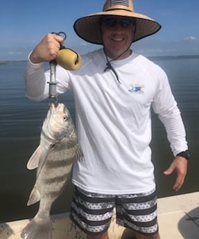 Black Drum fishing in Matagorda, Texas