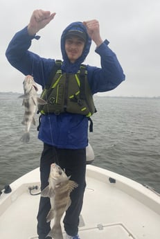 Black Drum Fishing in Galveston, Texas