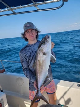 Amberjack Fishing in Destin, Florida