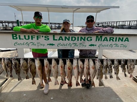 Black Drum, Redfish, Speckled Trout / Spotted Seatrout fishing in Corpus Christi, Texas