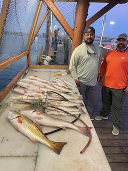 Redfish, Speckled Trout Fishing in South Padre Island, Texas