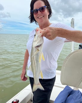 Snook Fishing in Key Largo, Florida