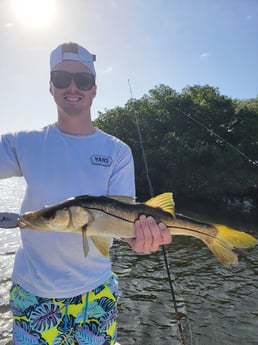 Snook Fishing in St. Petersburg, Florida